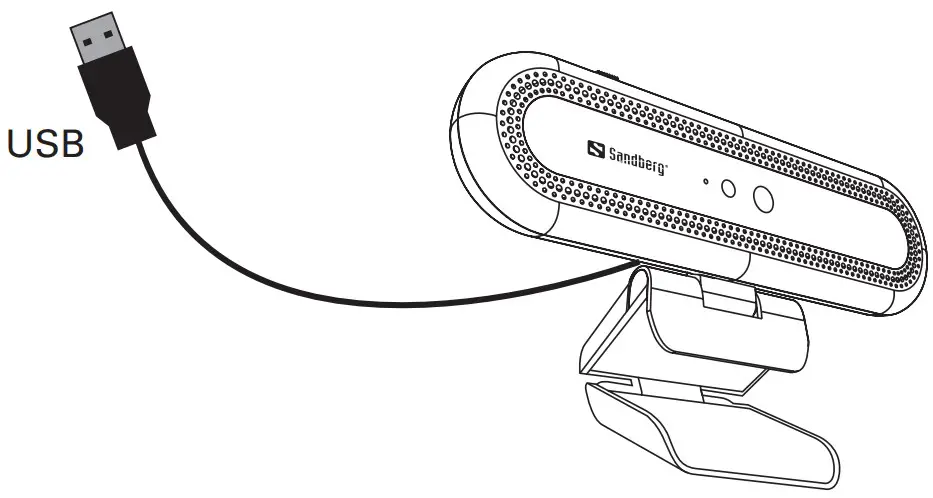 Sandberg 133-99 USB Face Recognition Webcam 1080P HD - ConnectionUSB