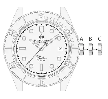 MELBOURNE WATCH COMPANY Chelsea Automatic Watch-fig2