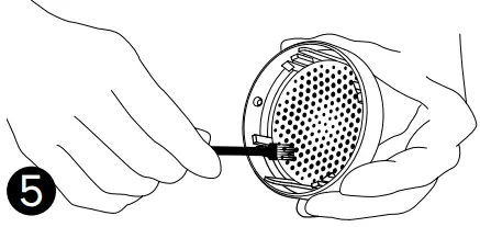 Maintaining and Cleaning