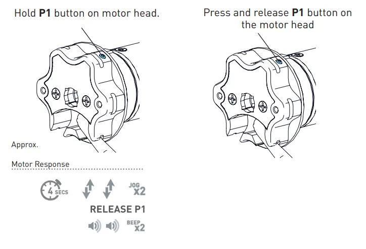 Automate AX30 EXTERNAL SHADE MOTOR - fig42