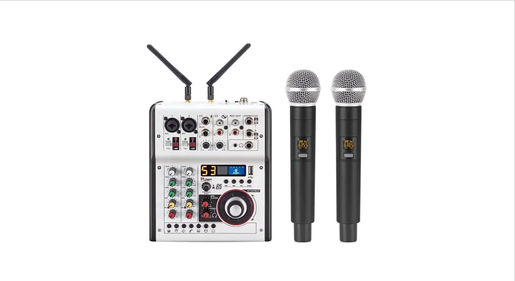 Enping Lane Electronics Technology Lr-874dr Professional Wireless Microphone System User Manual