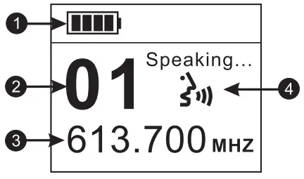Enping Lane Electronic Technology LR 874DR Professional Wireless Microphone System - lcd Display 2