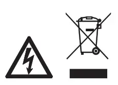 AURA LIGHT B6831A0B1 Ribes Ceiling Light- Symbols