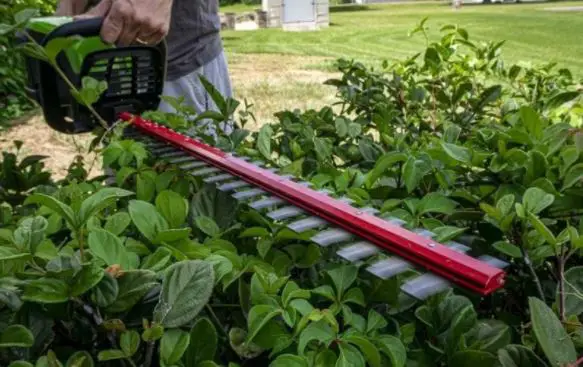 Greenworks Ght80320 80v 26 Inch Cordless Hedge Trimmer Owner's Manual