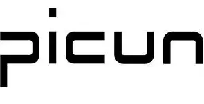 Picun