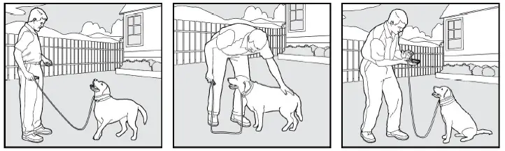 Bousnic-Dog-Shock-Collar-with-Remote (2)