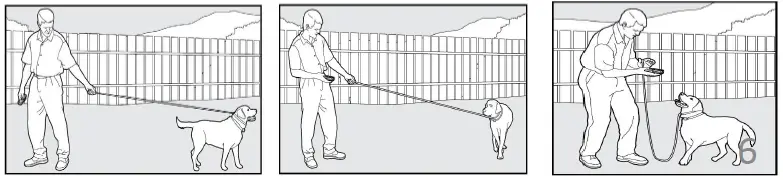 Bousnic-Dog-Shock-Collar-with-Remote (3)