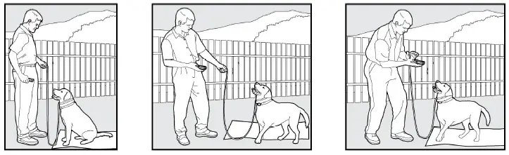 Bousnic-Dog-Shock-Collar-with-Remote (4)