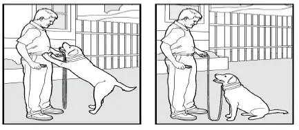 Bousnic-Dog-Shock-Collar-with-Remote (5)