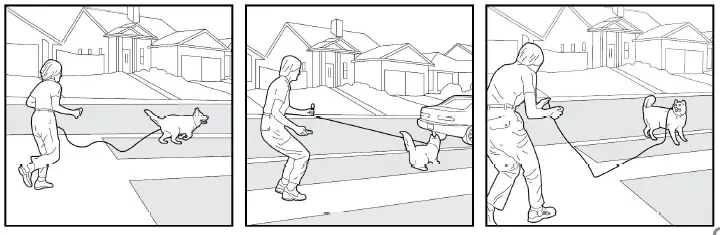 Bousnic-Dog-Shock-Collar-with-Remote (7)