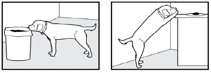 Bousnic-Dog-Shock-Collar-with-Remote (8)