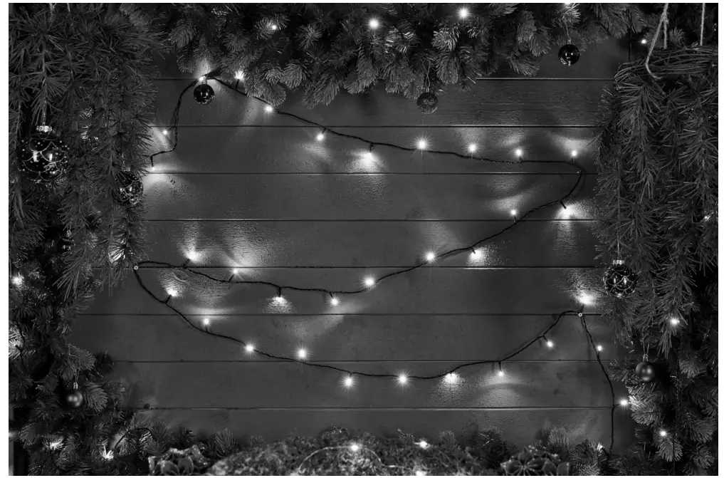 EKVIP 021660 String Light fig