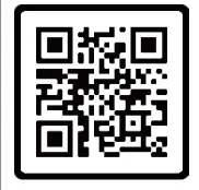 Interiors 1900 SN01P43 Semi Flush Light - Featured Image