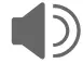 Speaker Icon