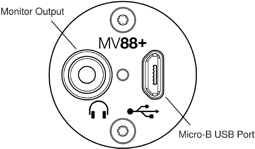 MV88+ Outputs