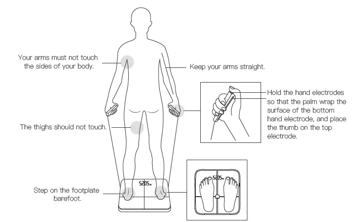 BodyPedia-LM-S001 Body-Scale-FIG-10