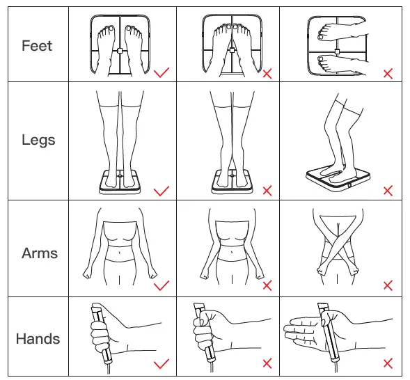 BodyPedia-LM-S001 Body-Scale-FIG-11