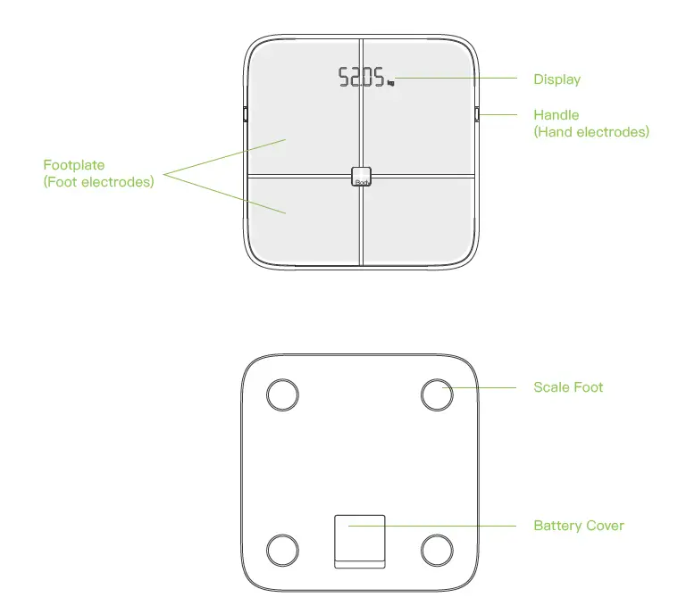 BodyPedia-LM-S001 Body-Scale-FIG-2