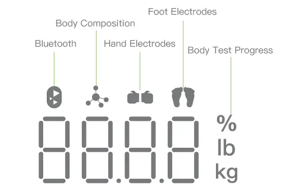 BodyPedia-LM-S001 Body-Scale-FIG-3