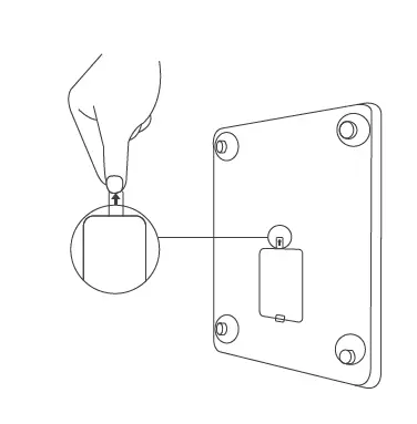 BodyPedia-LM-S001 Body-Scale-FIG-6