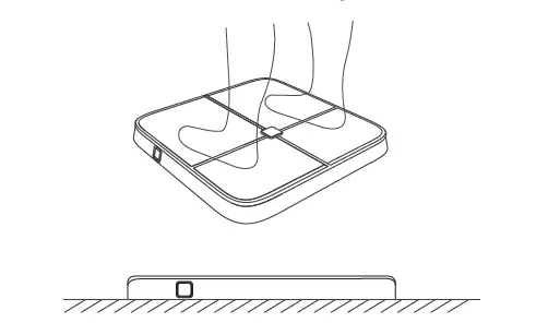BodyPedia-LM-S001 Body-Scale-FIG-7