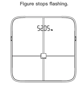 BodyPedia-LM-S001 Body-Scale-FIG-8