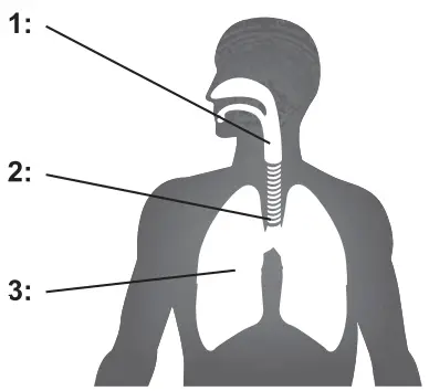 OMRON NE C300 E Compressor Nebulizer A3 Complete - umit 1