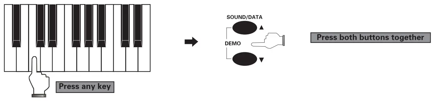 FLYKEYS FK100 Digital Piano - fig 10