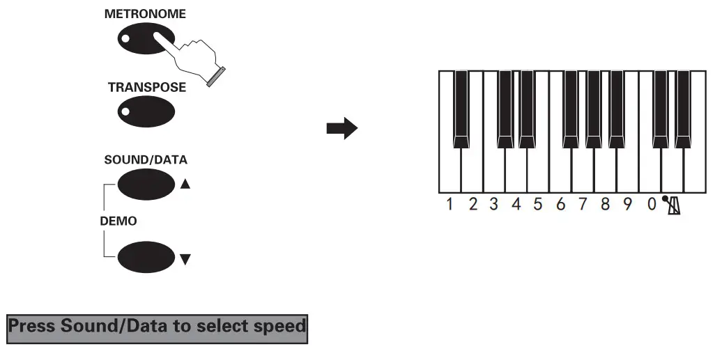 FLYKEYS FK100 Digital Piano - fig 12