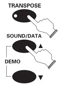 FLYKEYS FK100 Digital Piano - fig 13