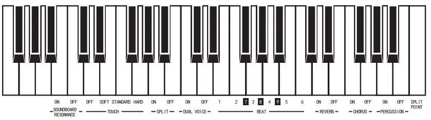 FLYKEYS FK100 Digital Piano - fig 14