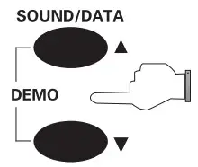 FLYKEYS FK100 Digital Piano - fig 8