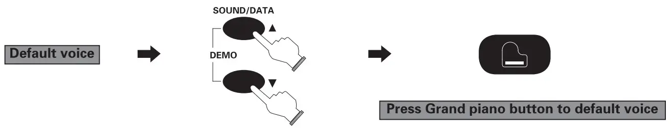 FLYKEYS FK100 Digital Piano - fig 9