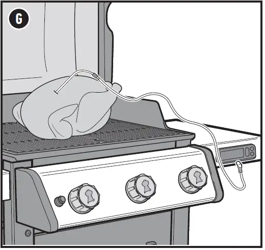 weber-EX-315-Smart-Barbecue-LPG-39