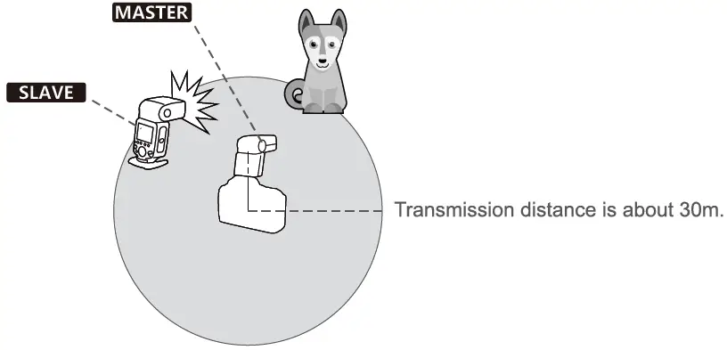 Godox-V350F-TTL-Li-Ion-Camera-Flash-45