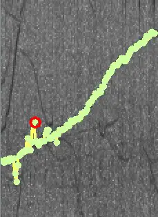 Systems overview diagram – An extracted whistle contour1