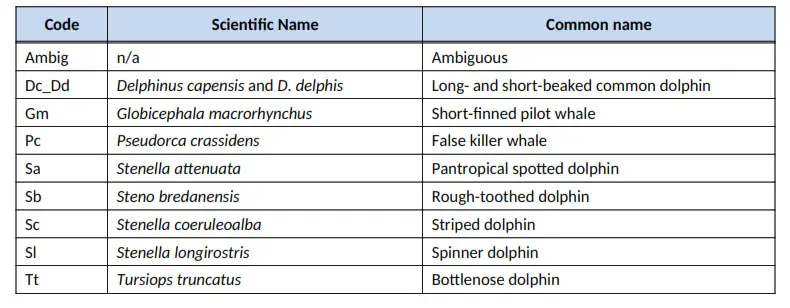 Tropical Pacific Classifier