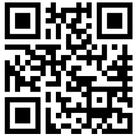 REELY 2267650 4 Channels Gen4 Pistol Grip Remote Control - qr code