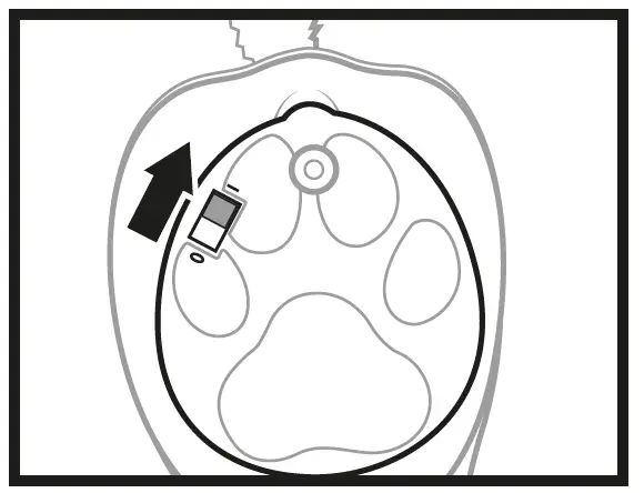 PRESENT-PETS-T65300-Interactive-Plush-Pet-Toy-Use-2