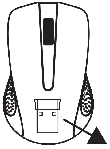 Establishing the Connection