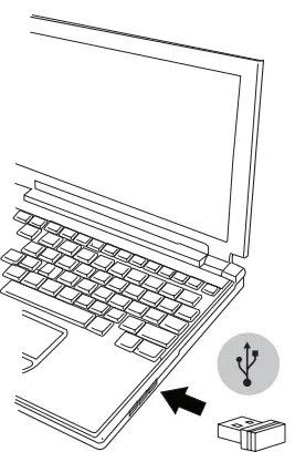 Establishing the Connection