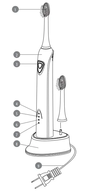 teesa-TSA8010-Sonic-Toothbrush-FIG-1