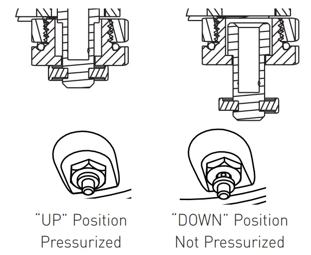 crockpot-express-CPE300-XL-Pressure-Multicooker-7-6L-10.