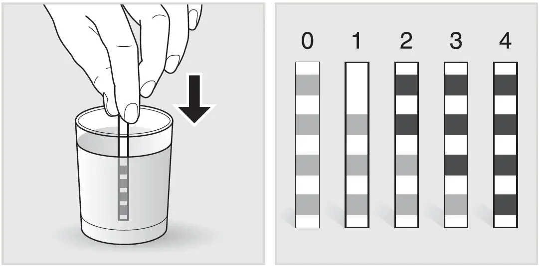 KRUPS-EA875-Intuition-Preference-Coffee-Machine-29