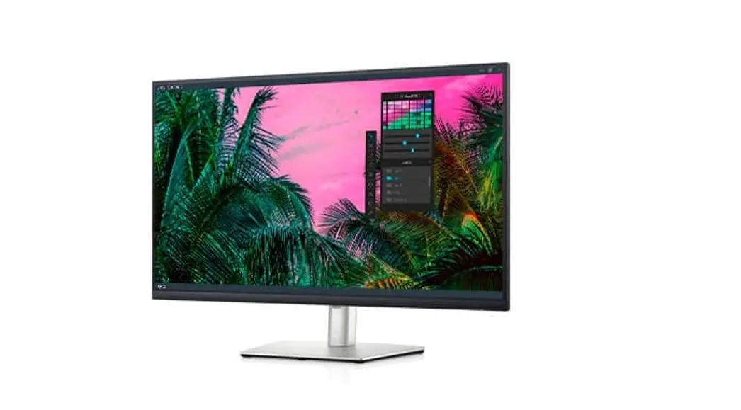 Dell P3221d Monitor User Guide