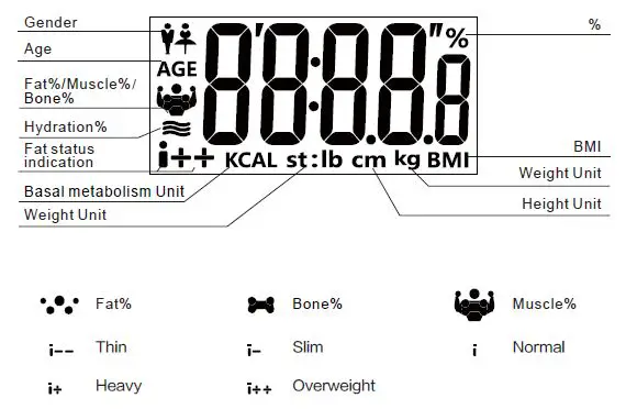anko 43115792 Body Fat Hydration Monitor Scale 3
