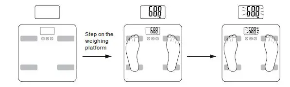 anko 43115792 Body Fat Hydration Monitor Scale 4
