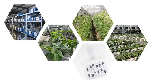 sonbus SM1810B interface rail type temperature humidity sensor-fig 7