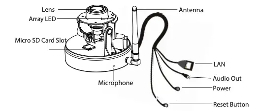 Physical Description