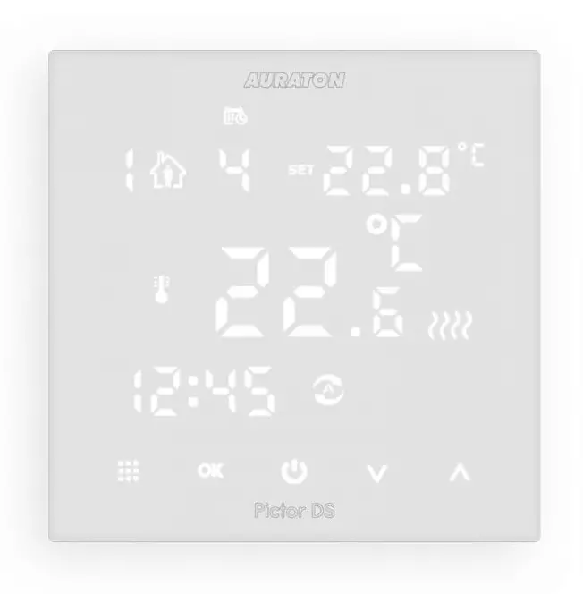 AURATON Pictor DS Controller